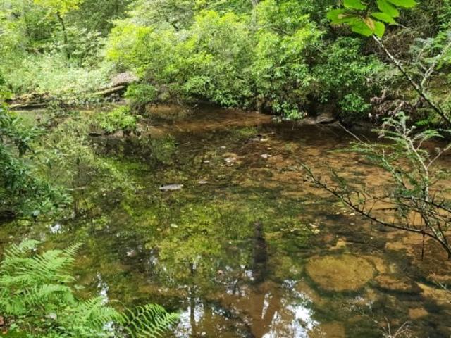 Land for sale in Tennessee
