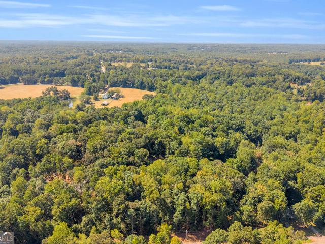Land for sale in Lavonia, Georgia