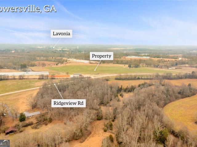 Land for sale in Bowersville, Georgia