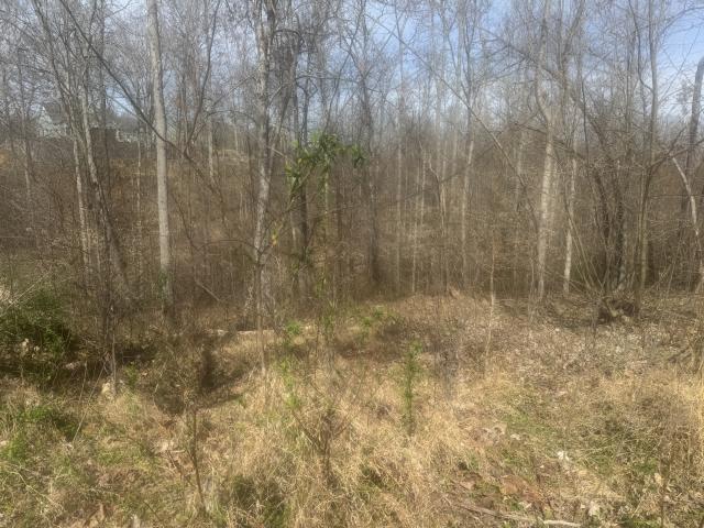 Land for sale in Tennessee