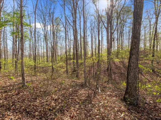 Land for sale in Tennessee