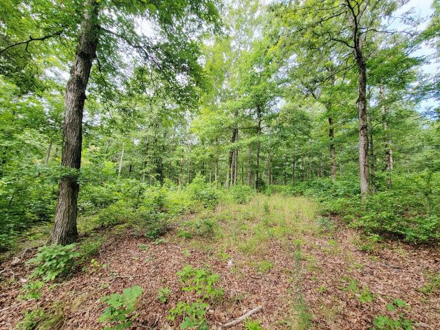 Land for sale in Tennessee