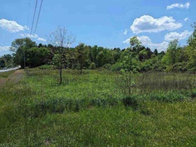 Land for sale in Medina, Ohio