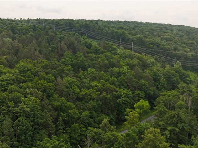 Land for sale in Dryden, New York