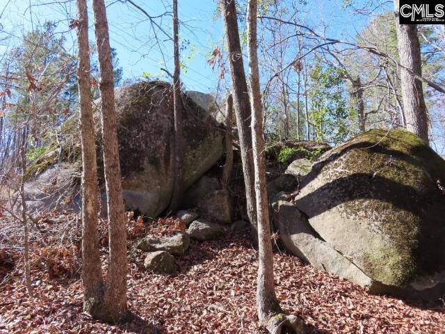 Land for sale in Winnsboro, South Carolina
