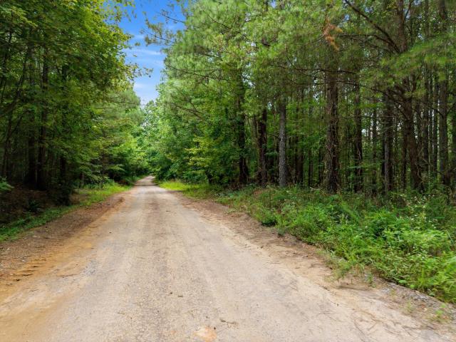 Land for sale in Tennessee