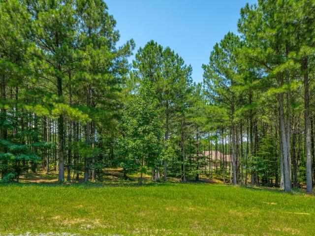 Land for sale in Tennessee