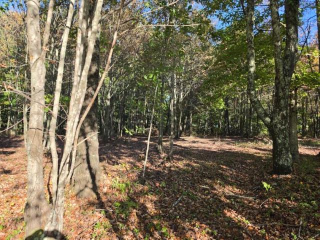 Land for sale in Jasper, East Tennessee