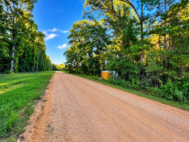 Land for sale in Cleveland, San Jacinto County