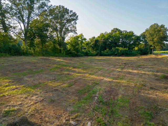 Land for sale in Tuscumbia, Alabama