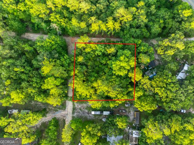 Land for sale in Baxley, Georgia
