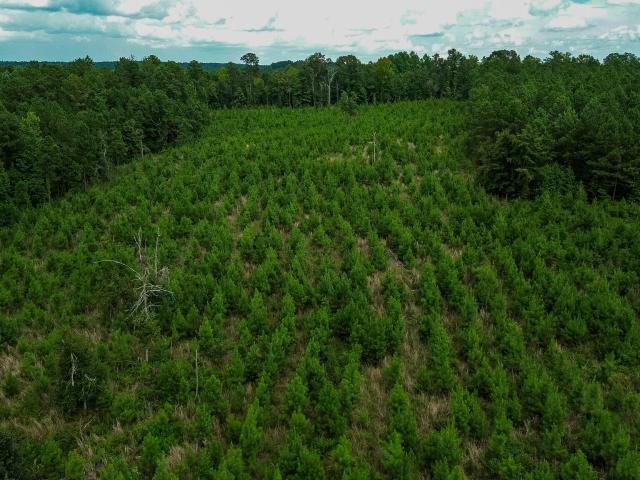 Land for sale in Eatonton, Georgia