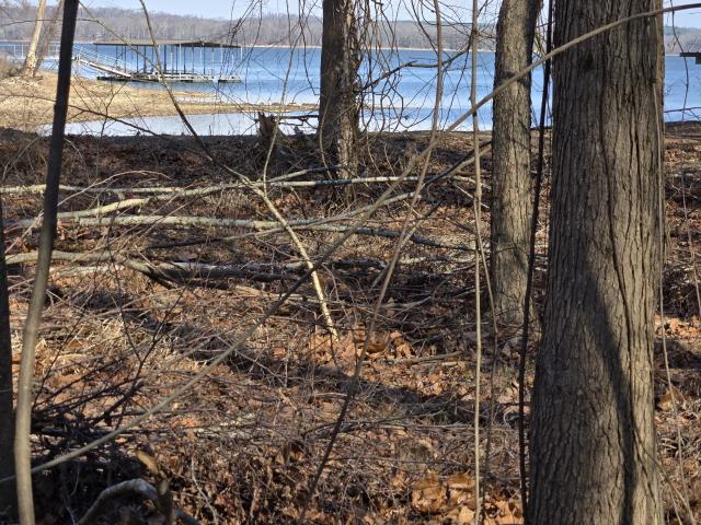 Land for sale in Tennessee