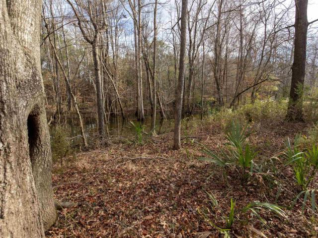 Land for sale in Alabama