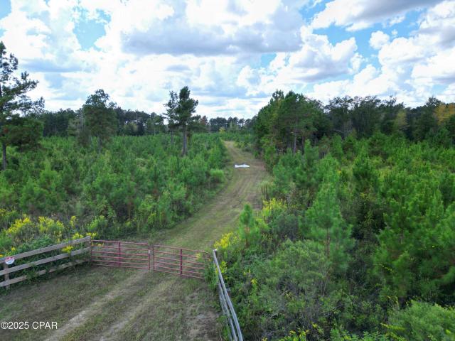House for sale in Sneads, Florida