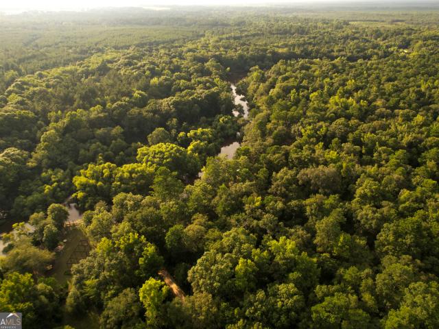 Land for sale in Reidsville, Georgia