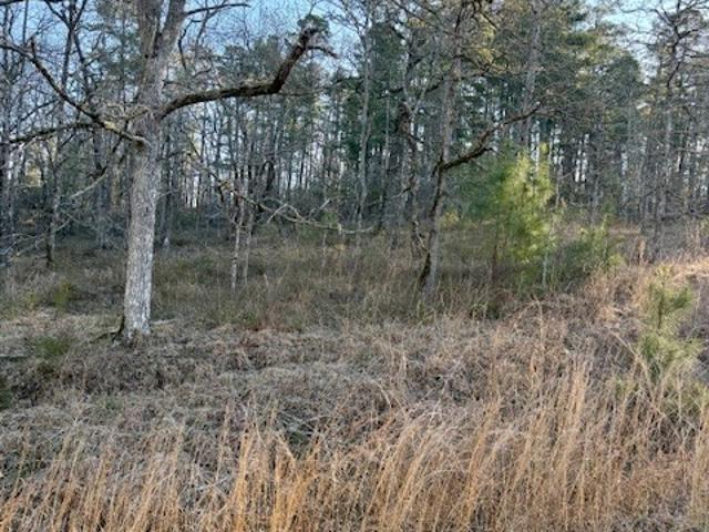 Land for sale in Sparta, Georgia