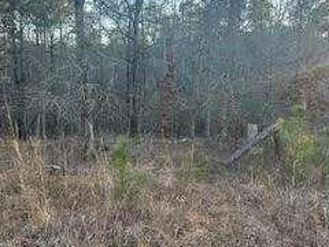 Land for sale in Sparta, Georgia
