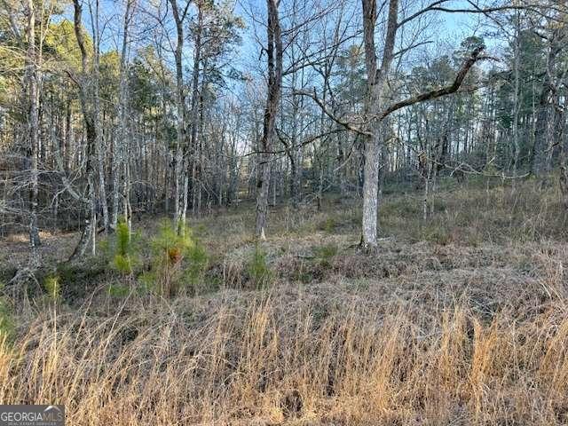 Land for sale in Sparta, Georgia