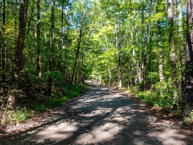 Land for sale in Shirley, Van Buren County