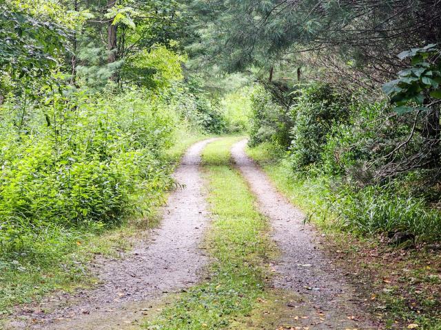 Land for sale in Clayton, Georgia