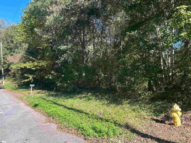 Land for sale in Laurens, South Carolina