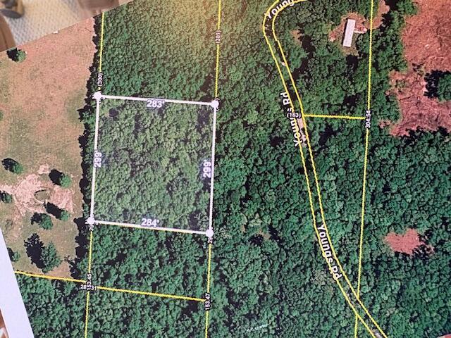 Land for sale in Eutawville, South Carolina