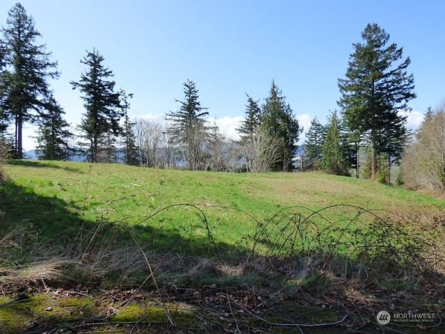 Land for sale in Cathlamet, Washington