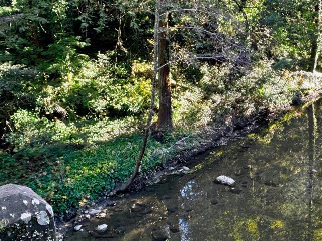 Land for sale in Ben Lomond, California