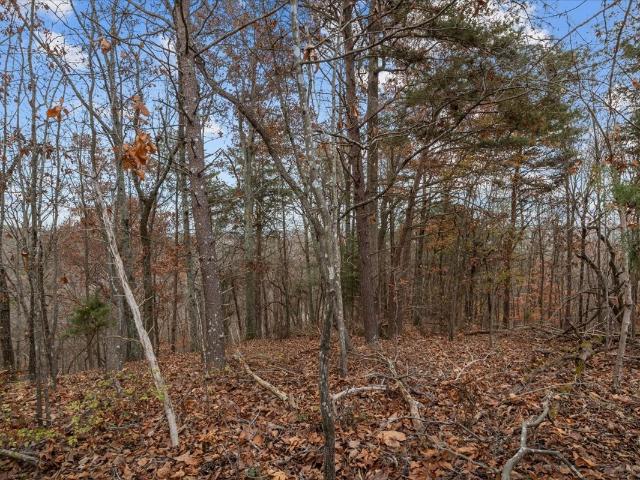 Land for sale in Tennessee