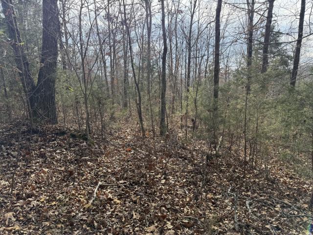 Land for sale in Clifton, Middle Tennessee