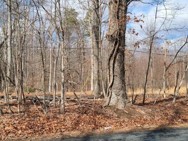Land for sale in Virginia