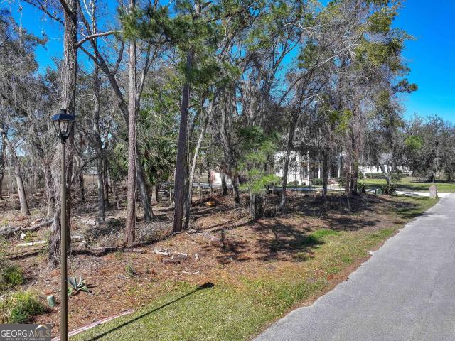 Land for sale in Georgia