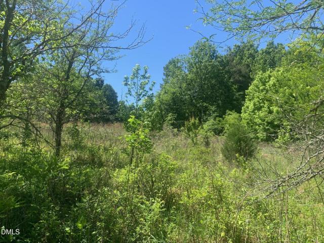 Land for sale in Chatham, North Carolina