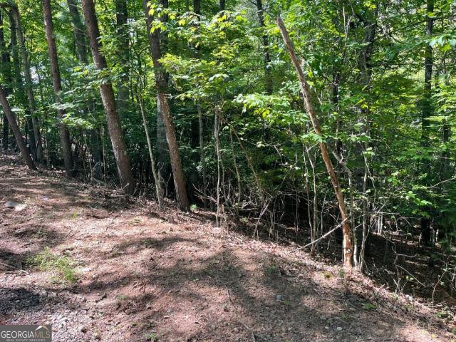 Land for sale in Blairsville, Georgia
