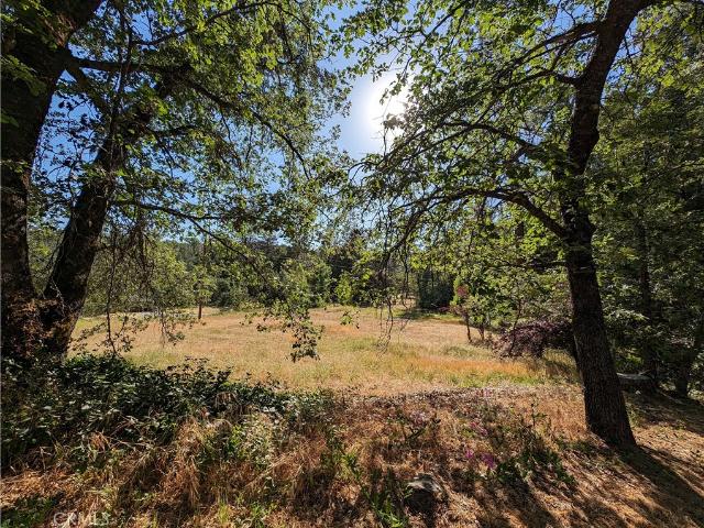 Land for sale in Bass Lake, California