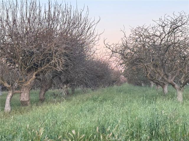 Land for sale in Madera, California