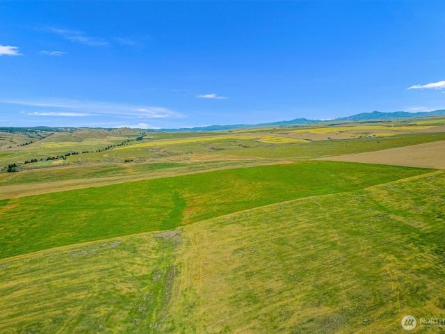Land for sale in Waterville, Washington