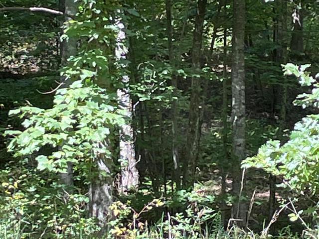 Land for sale in Dunlap, Middle Tennessee