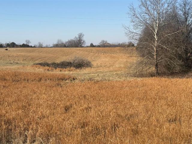 Land for sale in Simpson, Kentucky
