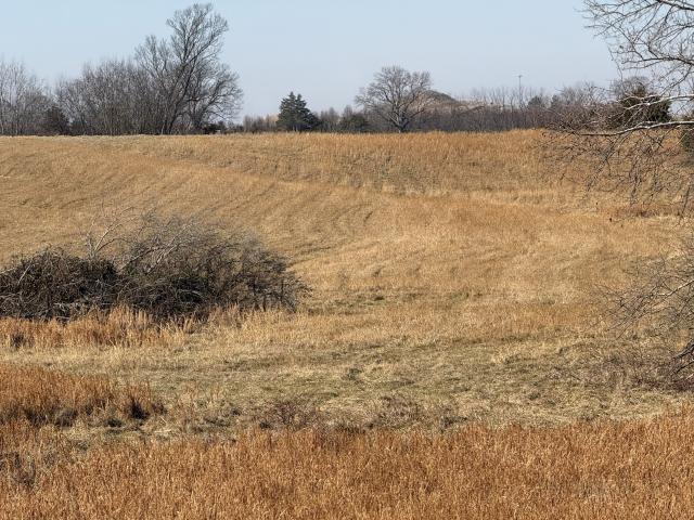 Land for sale in Simpson, Kentucky