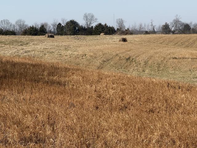 Land for sale in Simpson, Kentucky