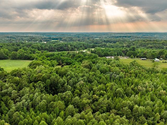 Farm for sale in Tennessee