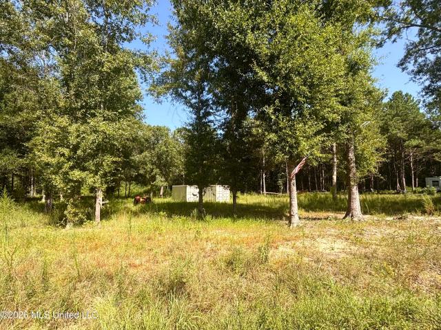 Land for sale in Poplarville, Mississippi