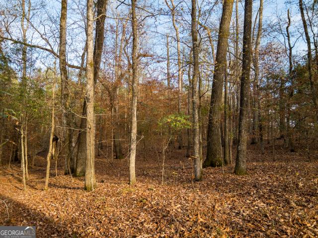 Land for sale in Butler, Georgia
