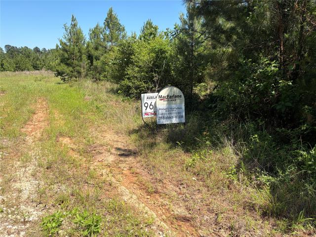 Land for sale in Lovelady, Texas