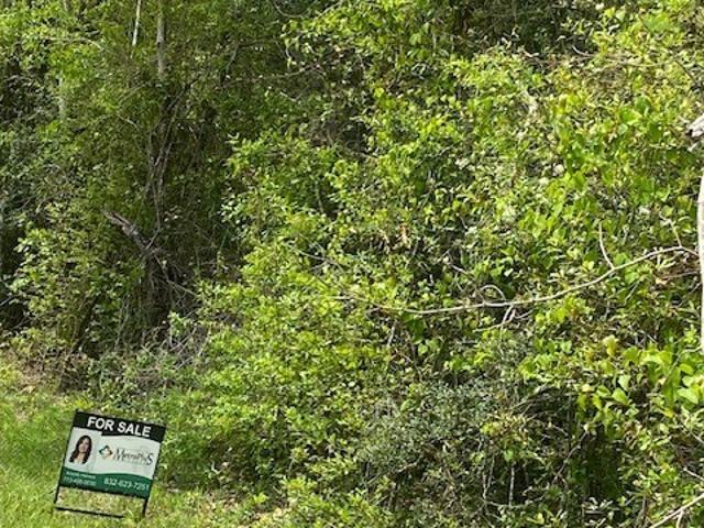 Land for sale in Shepherd, Texas