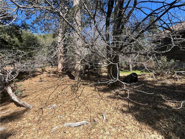 Land for sale in Angelus Oaks Land for sale in Angelus Oaks