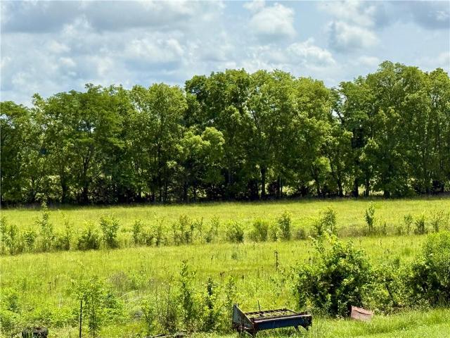 Land for sale in Lecompte, Louisiana