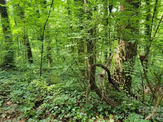 Land for sale in Hendersonville, North Carolina